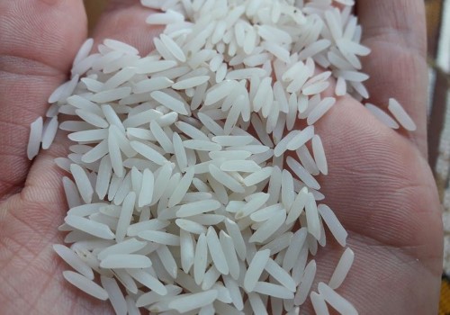 قیمت خرید برنج شمالی ندا + فروش ویژه